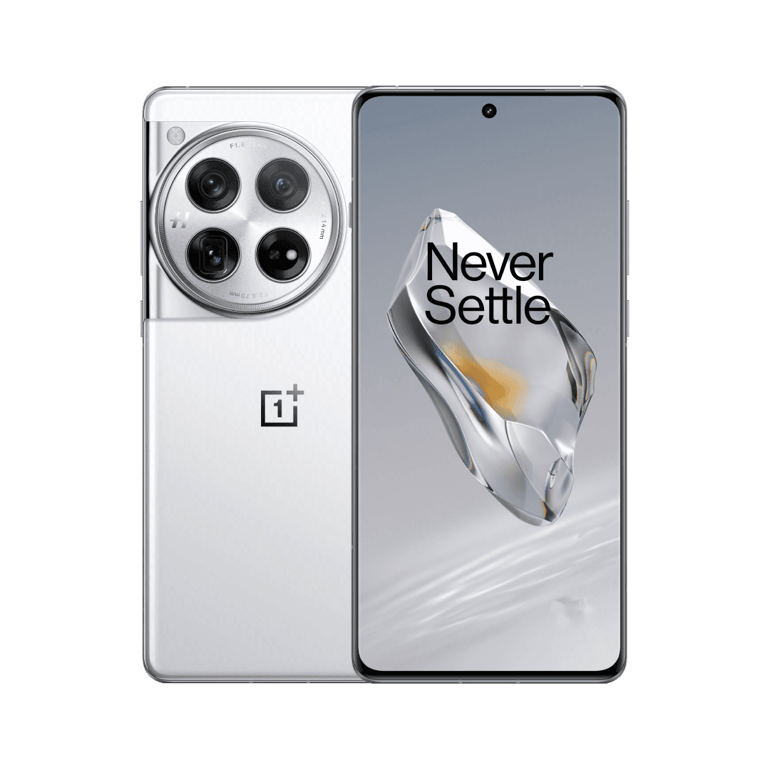 OnePlus 13 (12/256GB)